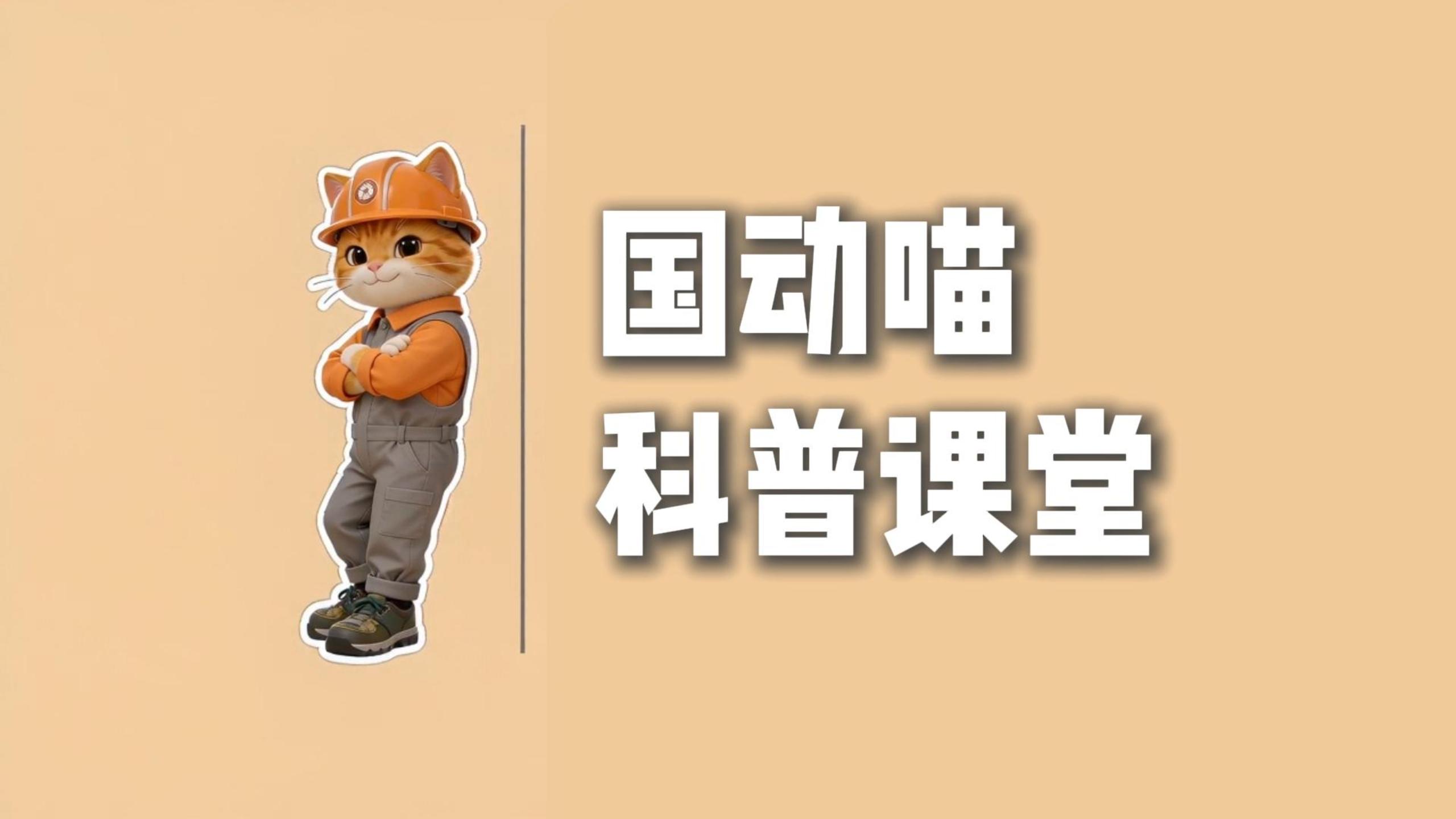 “国动喵
